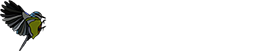 Homepage